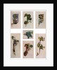 Compound letters, 800 AD by Anonymous