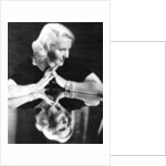 Jean Arthur, American actress by Anonymous