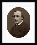 Henry Fawcett, MP, Professor of Political Economy at Cambridge University by Lock & Whitfield