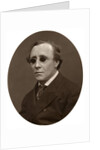 Henry Fawcett, MP, Professor of Political Economy at Cambridge University by Lock & Whitfield
