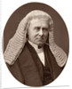 Right Hon Henry Bouverie Brand, MP, Speaker of the House of Commons by Lock & Whitfield
