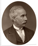 Right Hon Sir Henry Bartle Frere, Bart, KCB, GCB, British colonial administrator by Lock & Whitfield