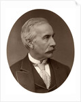 Right Hon Sir Henry Bartle Frere, Bart, KCB, GCB, British colonial administrator by Lock & Whitfield