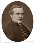 Right Rev Monsignor Capel, DD, Rector of the Catholic University College by Lock & Whitfield