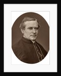 Right Rev Monsignor Capel, DD, Rector of the Catholic University College by Lock & Whitfield