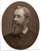 Duke of Abercorn, Lord Lieutenant of Ireland by Lock & Whitfield