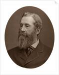 Duke of Abercorn, Lord Lieutenant of Ireland by Lock & Whitfield