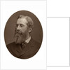Duke of Abercorn, Lord Lieutenant of Ireland by Lock & Whitfield