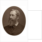 Duke of Abercorn, Lord Lieutenant of Ireland by Lock & Whitfield