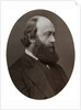 Marquis of Salisbury, Secretary of State for India by Lock & Whitfield