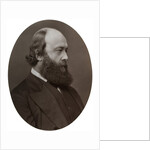 Marquis of Salisbury, Secretary of State for India by Lock & Whitfield