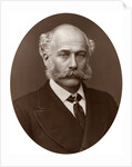 Sir Joseph Bazalgette, CB, British civil engineer by Lock & Whitfield
