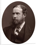 Sir John Lubbock, Bart, MP, FRS, Vice-Chancellor of the University of London by Lock & Whitfield