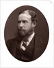 Sir John Lubbock, Bart, MP, FRS, Vice-Chancellor of the University of London by Lock & Whitfield