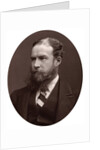 Sir John Lubbock, Bart, MP, FRS, Vice-Chancellor of the University of London by Lock & Whitfield