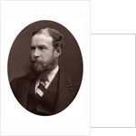 Sir John Lubbock, Bart, MP, FRS, Vice-Chancellor of the University of London by Lock & Whitfield