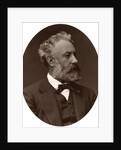 Jules Verne, French novelist by Lock & Whitfield