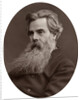 Thomas Woolner, RA, Professor of Sculpture at the Royal Academy by Lock & Whitfield