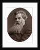 Thomas Woolner, RA, Professor of Sculpture at the Royal Academy by Lock & Whitfield