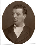 Captain Lord Charles William Delapoer Beresford, British naval officer by Lock & Whitfield