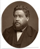 Reverand Charles Haddon Spurgeon, pastor of the Metropolitan Tabernacle by Lock & Whitfield