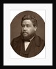 Reverand Charles Haddon Spurgeon, pastor of the Metropolitan Tabernacle by Lock & Whitfield