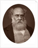 Anthony Trollope, writer by Lock & Whitfield