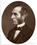 Goldwin Smith, Professor by Lock & Whitfield