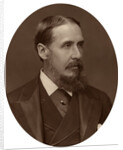 Sir Charles Rivers Wilson, knight, civil servant and financier by Lock & Whitfield