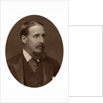 Sir Charles Rivers Wilson, knight, civil servant and financier by Lock & Whitfield