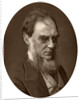 Sir Joseph Dalton Hooker, Director of Royal Gardens at Kew by Anonymous