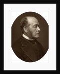 Gathorne Hardy, 1st Viscount Cranbrook, politician and statesman by Anonymous