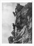 Mount Nero, Karst plateau, Second Battle of the Isonzo, World War I by Anonymous