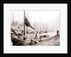 Canal boats, Rotterdam by James Batkin