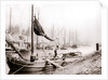 Canal boats, Rotterdam by James Batkin