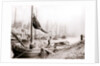 Canal boats, Rotterdam by James Batkin