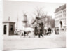 Man with horse, Rotterdam by James Batkin
