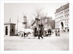 Man with horse, Rotterdam by James Batkin