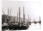Canal boats, Rotterdam by James Batkin