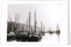 Canal boats, Rotterdam by James Batkin