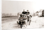 Dogs pulling women on a cart, Antwerp by James Batkin