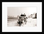 Dogs pulling women on a cart, Antwerp by James Batkin