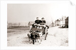 Dogs pulling women on a cart, Antwerp by James Batkin