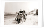 Dogs pulling women on a cart, Antwerp by James Batkin