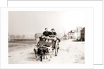 Dogs pulling women on a cart, Antwerp by James Batkin