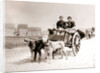 Dogs pulling women on a cart, Antwerp by James Batkin