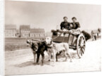Dogs pulling women on a cart, Antwerp by James Batkin