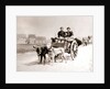 Dogs pulling women on a cart, Antwerp by James Batkin