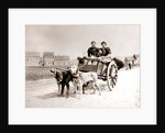 Dogs pulling women on a cart, Antwerp by James Batkin