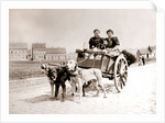 Dogs pulling women on a cart, Antwerp by James Batkin